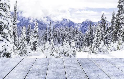 Winter Snowy Forest Backdrop for Photo Studio HJ02707 – Dbackdrop ...