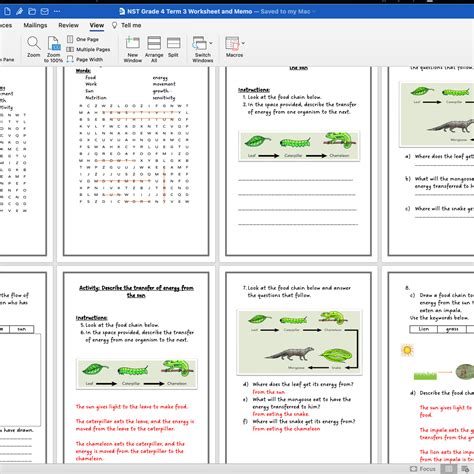 NST Grade 4 Term 3 Worksheet • Teacha!