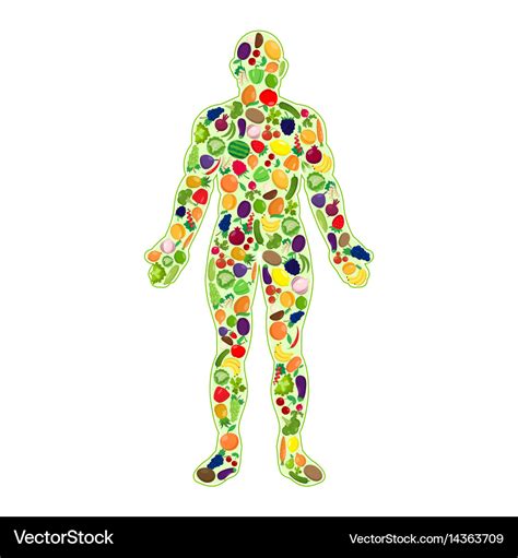 Human healthy silhouette Royalty Free Vector Image