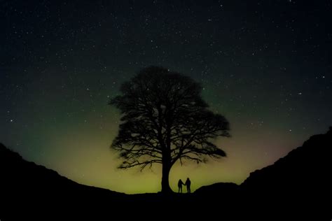 Sycamore gap by night, illuminated by the Northern lights – Our Image Nation