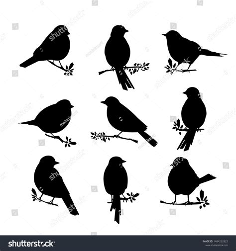 12,143 Big Bird Silhouette Royalty-Free Images, Stock Photos & Pictures | Shutterstock