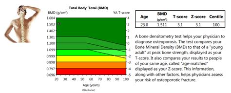 DEXA Scans: My Results & Three Elements Essential to Longevity