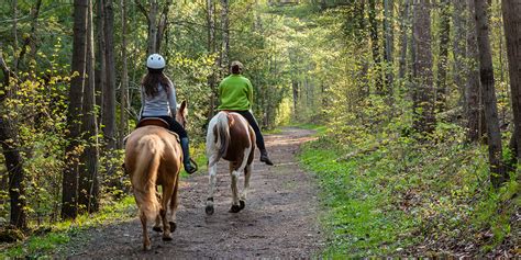 National Forests in Florida - Ocala One Hundred Mile Horse Trail