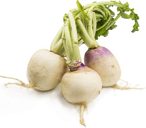 Turnips Information and Facts