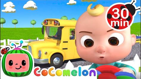 Wheels on the Bus + @Cocomelon Nursery Rhymes | 30 MIN - YouTube ...