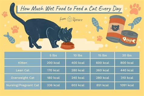 How Much Wet Food to Feed a Cat Every Day | Wet cat food, Cat food, Cats