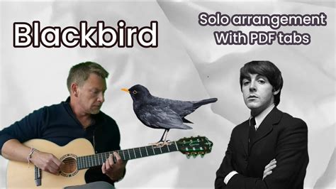 Blackbird - solo arrangement for classical guitar with PDF tabs - Beatles cover #fingerstyle ...