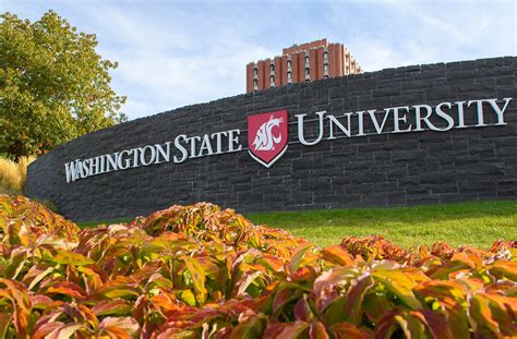 WSU Reverses Course for Fall Semester, Says Courses Will Stay Online Due to Virus Surge | The ...