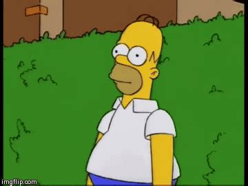 Homer Simpson Bush Meme Gif