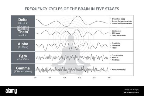 The EEG or electroencephalogram amplitude is a measure of the strength of electrical activity in ...