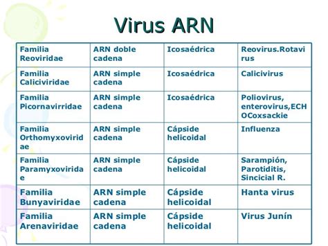 Virus Arn