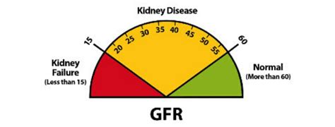 Improve Your Kidney Lab Results with Renal Diet - RenalTracker Blog