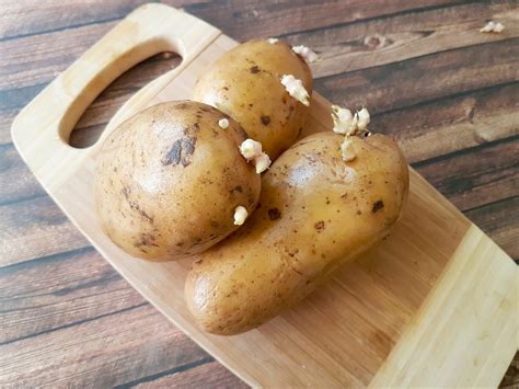 Are Sprouted Potatoes Safe?