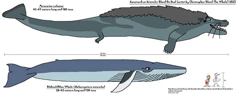 Perucetus size comparison by ChristopherBland on DeviantArt