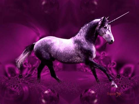 Purple Unicorn | Beautiful purple unicorn, abstract, animals, others, purple, unicorn | Purple ...