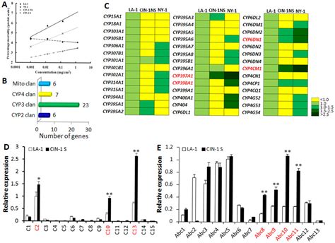 How Bed Bugs Develop Resistance to Pyrethroid Pesticides | ZappBug