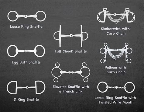 Bridle Parts & Types