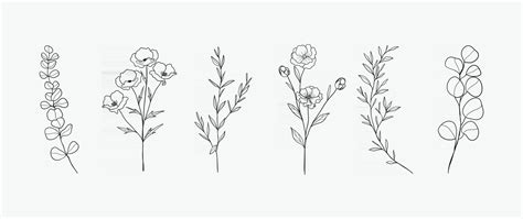 Minimal botanical hand drawing design for logo and wedding invitation. Floral line art. Flower ...