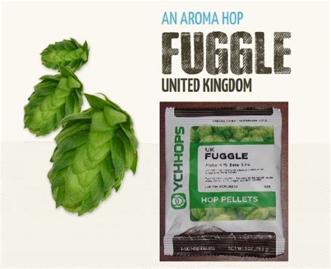 HOPS HOP PELLETS FUGGLE OLD WORLD AROMA 1oz NITRO FOIL FACTORY PACK BEER BREWING | eBay