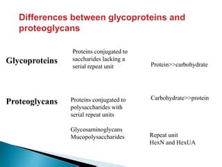 Proteoglycans | PPT