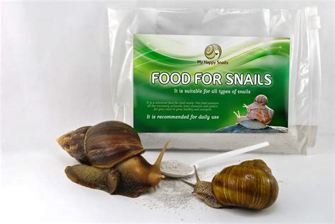 Buy Land Snail Food - Land Snail Food Protein + Calcium + Minerals ...