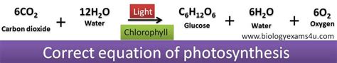 Photosynthesis Equation - Cyber