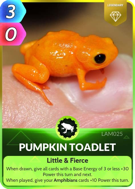 Pumpkin Toadlet