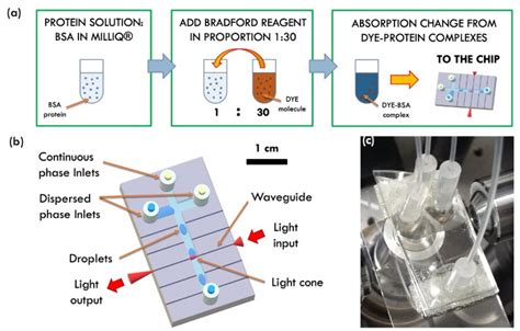 Sensors | Free Full-Text | Opto-Microfluidic Integration of the Bradford Protein Assay in ...