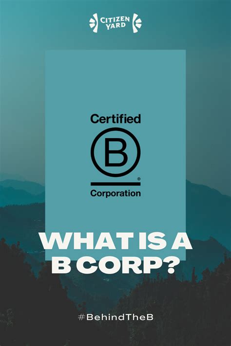 What Is a B Corp?