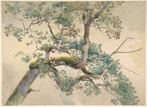 Charles Reginald Aston | Tree Branches | The Metropolitan Museum of Art