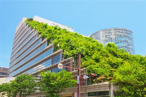 Environmentalist Urges FG To Adopt Green Building Technology - InsideBusiness - Business News in ...