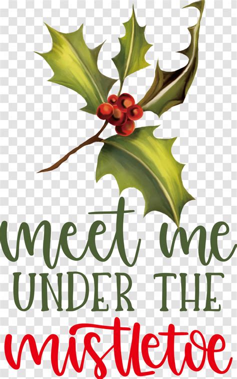 Meet Me Under The Mistletoe Mistletoe Transparent PNG