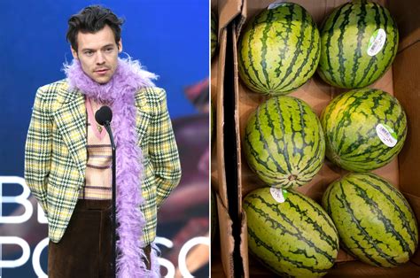 Harry Styles Confirms NSFW Meaning Behind 'Watermelon Sugar' Lyrics - Newsweek