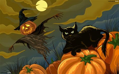 A Halloween Cat In A Pumpkin Wallpaper - Cat In A Pumpkin - 1982x1462 Wallpaper - teahub.io