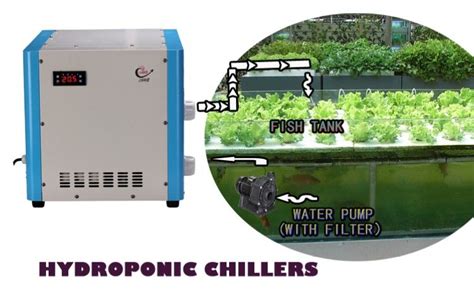 Diy Water Chiller Hydroponics / Water Chilling for Hydroponics Growing ...