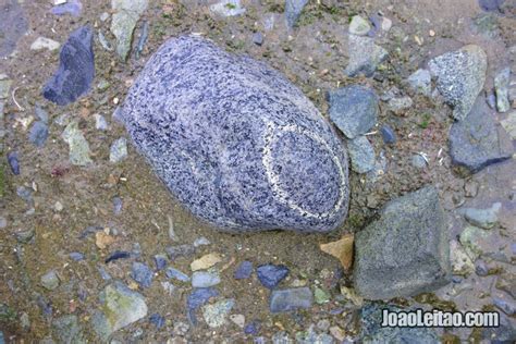 Visit Half Moon Island - forsaken humid Antarctica