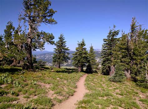 Trail Running Events on the Pacific Crest Trail — ATRA