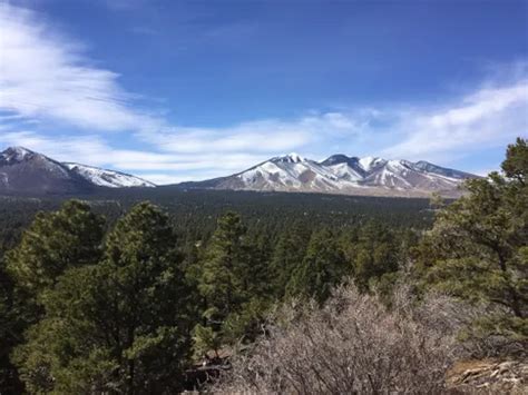 2023 Best 10 Trails and Hikes in Flagstaff | AllTrails