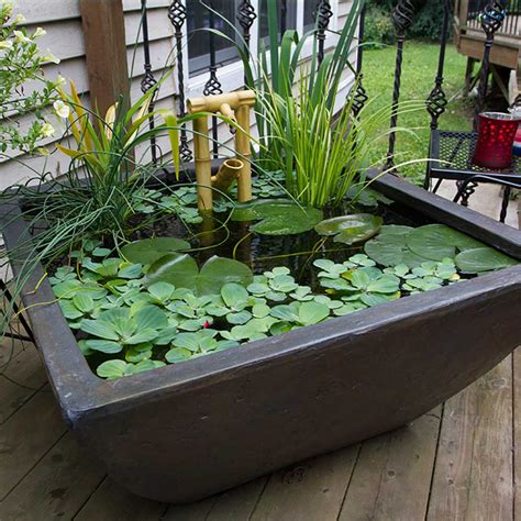 Garden Pond Kit | Aquascape Patio Pond | The Pond Guy