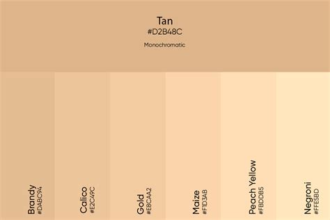 Tan Color: Its Meaning, Codes, and Top Palette Ideas - Picsart Blog (2023)