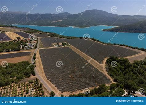 Aerial View on Plateau Valensole with Blossoming Lavender Fields Near ...