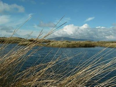 North Walney Island nature reserve,Cumbria. - National Parks of the ...