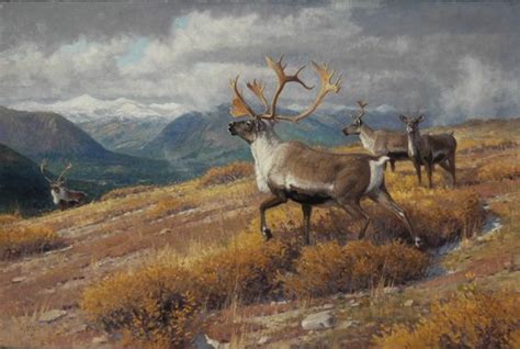 Caribou painting by Ralph Oberg | Art - Wildlife - Deer | Pinterest | Paintings