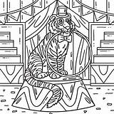 Circus Tiger Biting A Hula Hoop Coloring Page 35887919 Vector Art At  sketch template