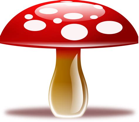 Mushroom Transparent PNG Pictures - Free Icons and PNG Backgrounds