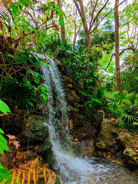 Lush Waterfall Garden at Rainbow Springs State Park 4 - 2 Travel Dads