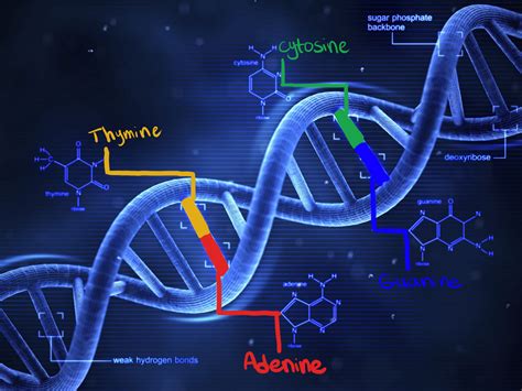 The World of Biocomputing | Parmin Sedigh | Medium