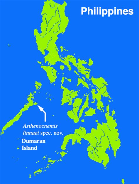 Map of the Philippine archipelago, with the position of Dumaran Island... | Download Scientific ...