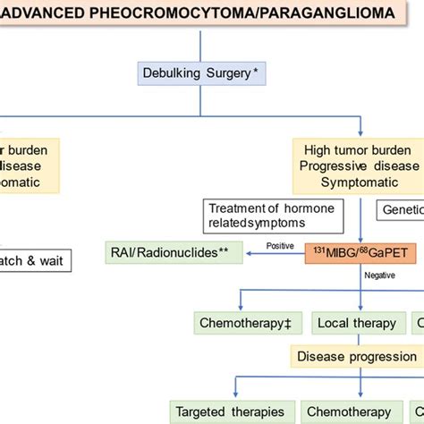 Treatment of pheochromocytoma and PGL during pregnancy | Download ...