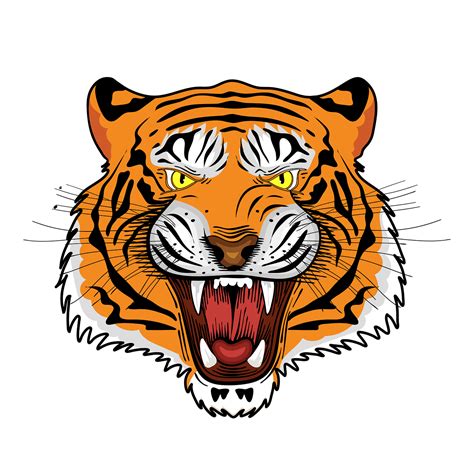 Download Tiger, Royal Bengal Tiger, Tiger Face. Royalty-Free Stock ...